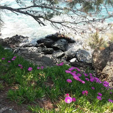 Apartment Elegant With Sea View In | 93 Sqm Neos Marmaras