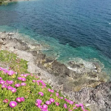 Elegant With Sea View In | 93 Sqm Apartment Neos Marmaras