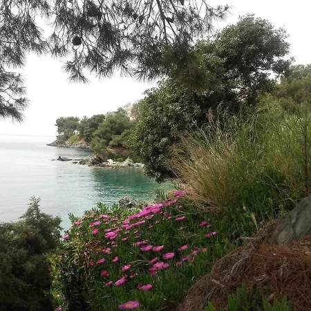 Apartment Elegant With Sea View In | 93 Sqm *